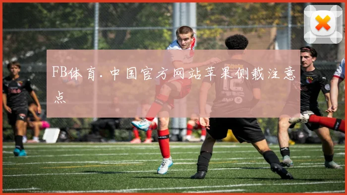 FB体育.中国官方网站苹果侧载注意点